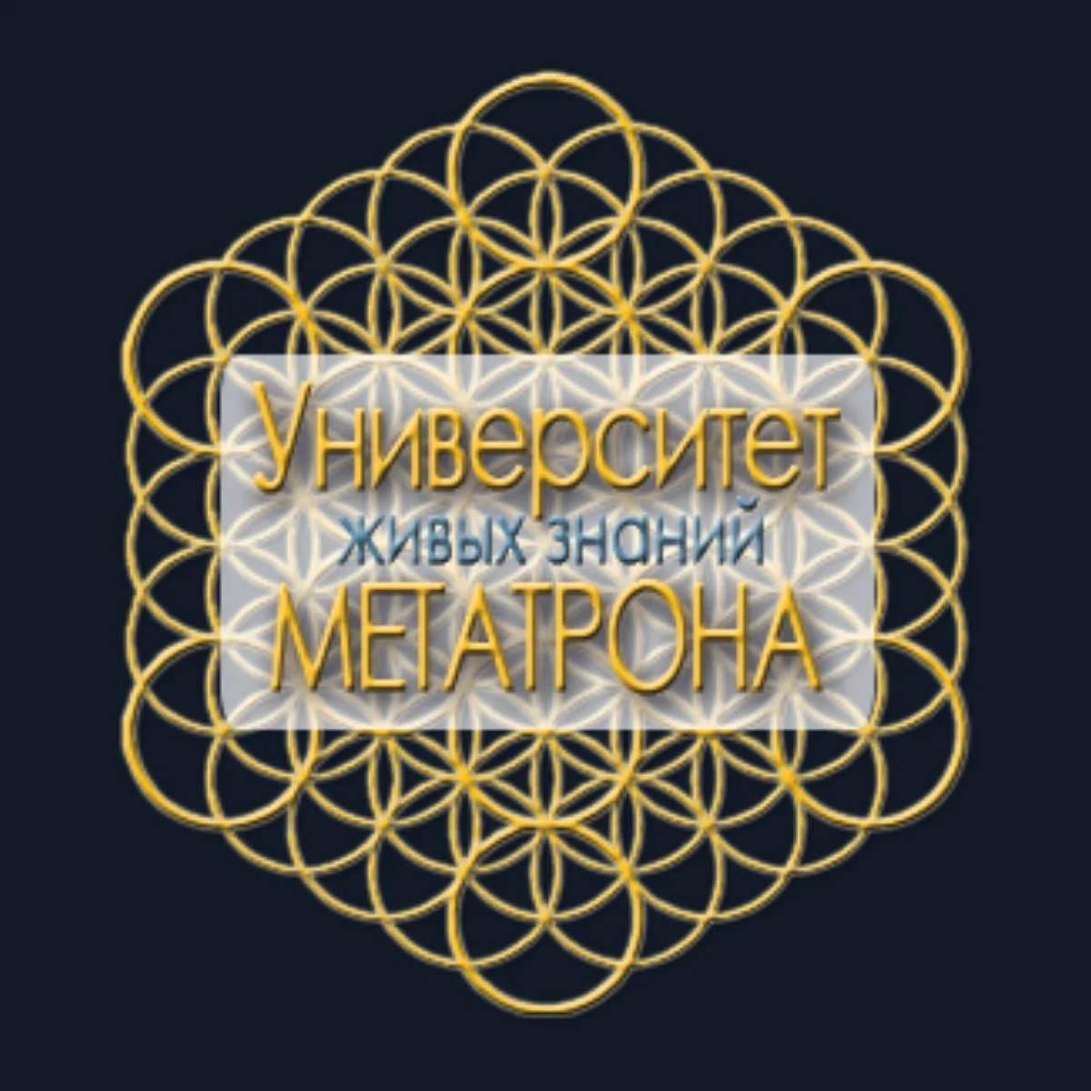 Аватар Университета